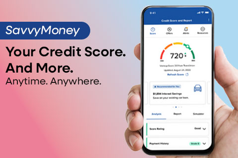 SavvyMoney Credit Score
